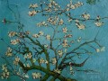 van Gogh Zweig eines Mandelbaum in blühen